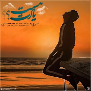 photo_2019-11-01_04-10-45-300x300 دانلود آهنگ لری جدید حسین پاسیار به نام یادت هست